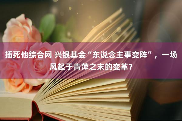 插死他综合网 兴银基金“东说念主事变阵”，一场风起于青萍之末的变革？