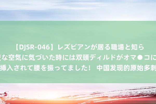 【DJSR-046】レズビアンが居る職場と知らずに来た私（ノンケ） 変な空気に気づいた時には双頭ディルドがオマ●コに挿入されて腰を振ってました！ 中国发现的原始多刺蛞蝓是天下软体动物的前驱