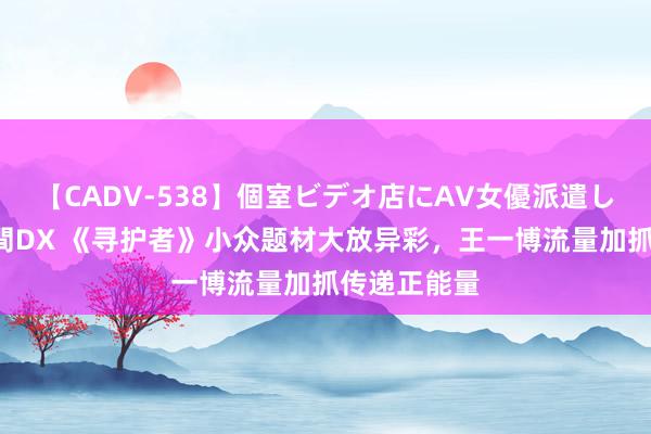 【CADV-538】個室ビデオ店にAV女優派遣します。8時間DX 《寻护者》小众题材大放异彩，王一博流量加抓传递正能量