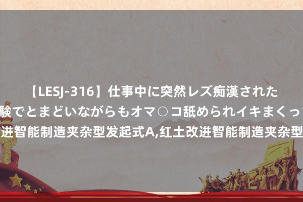 【LESJ-316】仕事中に突然レズ痴漢された私（ノンケ）初めての経験でとまどいながらもオマ○コ舐められイキまくっちゃいました！ 红土改进智能制造夹杂型发起式A,红土改进智能制造夹杂型发起式C: 对于旗下红土改进智能制造夹杂型发起式证券投资基金C类新增销售机构的公告