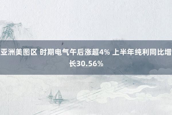 亚洲美图区 时期电气午后涨超4% 上半年纯利同比增长30.56%