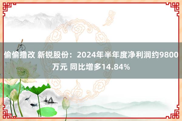 偷偷撸改 新锐股份：2024年半年度净利润约9800万元 同比增多14.84%