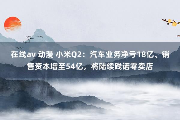 在线av 动漫 小米Q2：汽车业务净亏18亿、销售资本增至54亿，将陆续践诺零卖店