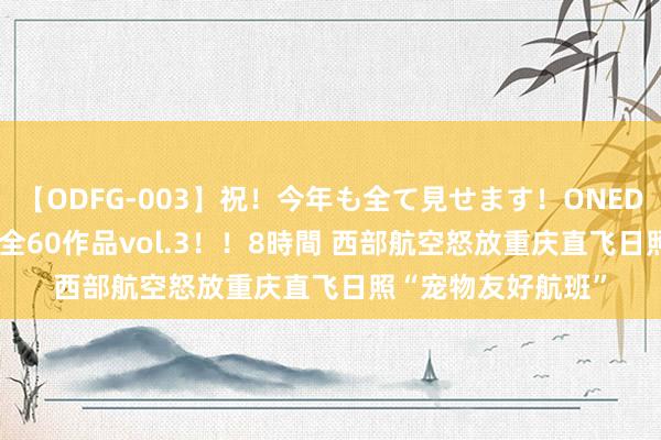 【ODFG-003】祝！今年も全て見せます！ONEDAFULL1年の軌跡全60作品vol.3！！8時間 西部航空怒放重庆直飞日照“宠物友好航班”