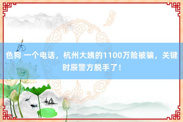 色狗 一个电话，杭州大姨的1100万险被骗，关键时辰警方脱手了！