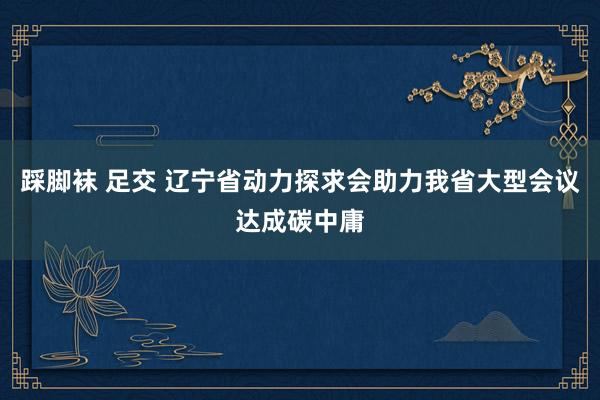 踩脚袜 足交 辽宁省动力探求会助力我省大型会议达成碳中庸