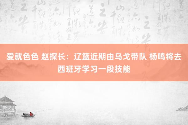 爱就色色 赵探长：辽篮近期由乌戈带队 杨鸣将去西班牙学习一段技能