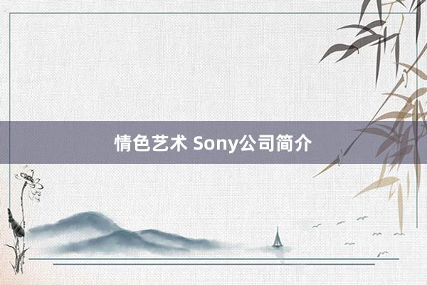 情色艺术 Sony公司简介