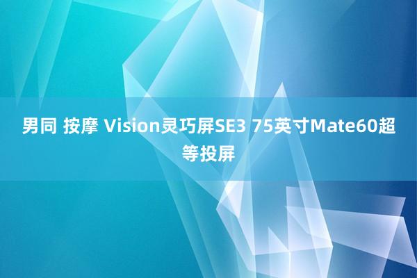 男同 按摩 Vision灵巧屏SE3 75英寸Mate60超等投屏