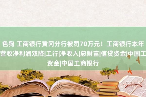 色狗 工商银行黄冈分行被罚70万元！工商银行本年上半年营收净利润双降|工行|净收入|总财富|信贷资金|中国工商银行