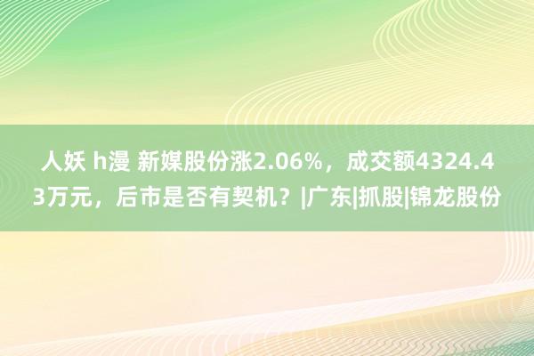 人妖 h漫 新媒股份涨2.06%，成交额4324.43万元，后市是否有契机？|广东|抓股|锦龙股份