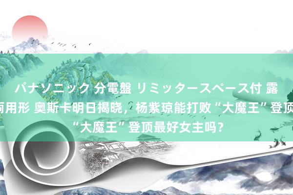 パナソニック 分電盤 リミッタースペース付 露出・半埋込両用形 奥斯卡明日揭晓，杨紫琼能打败“大魔王”登顶最好女主吗？